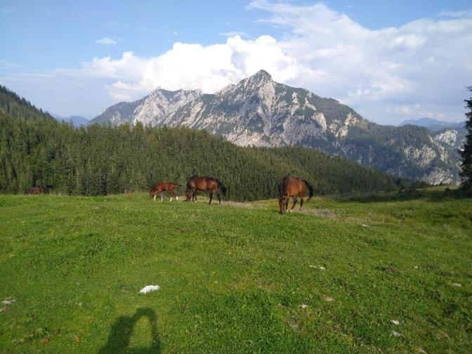 Mountainlove Strobl Exterior foto